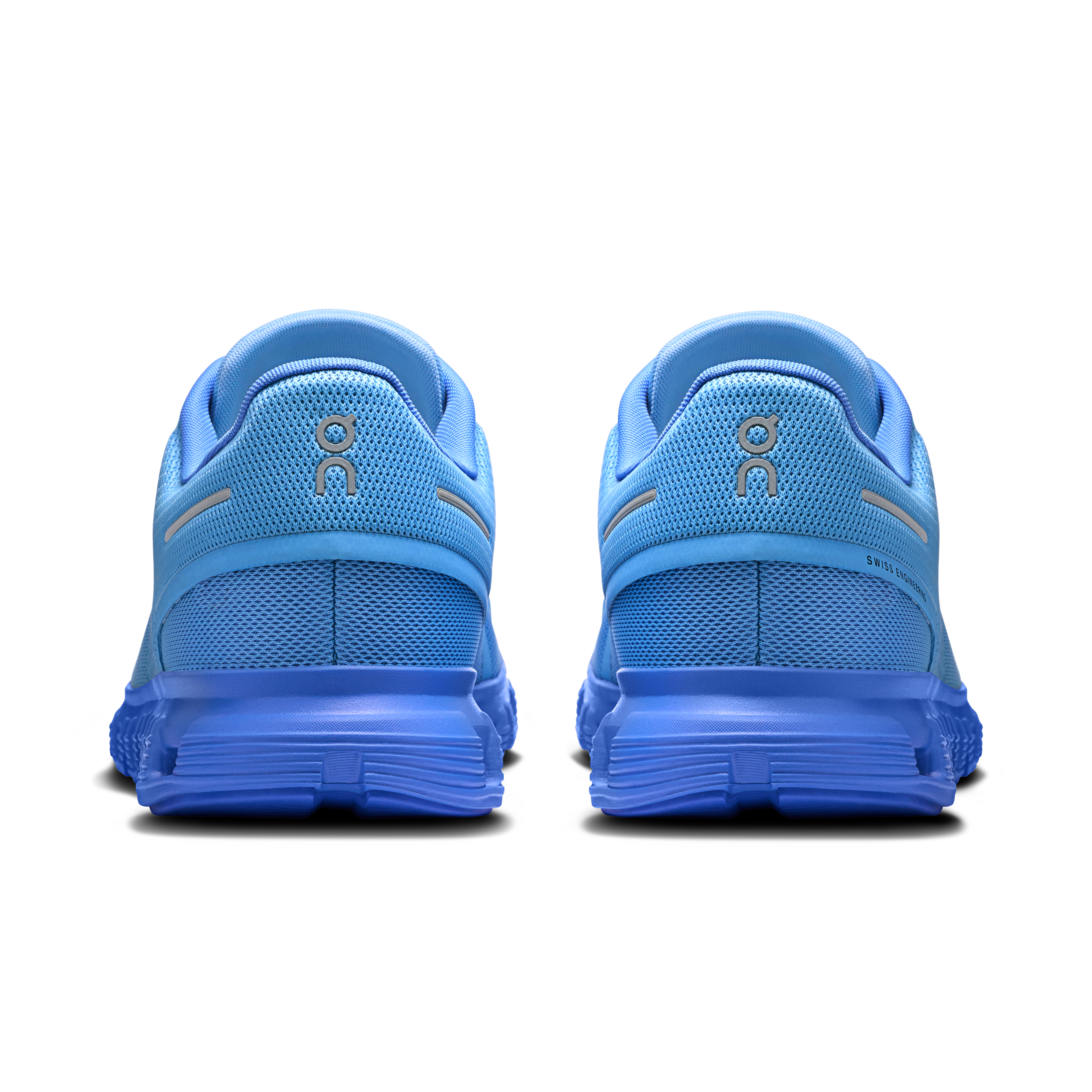 Cloud 6 SHF 1 M Gourami | Pier