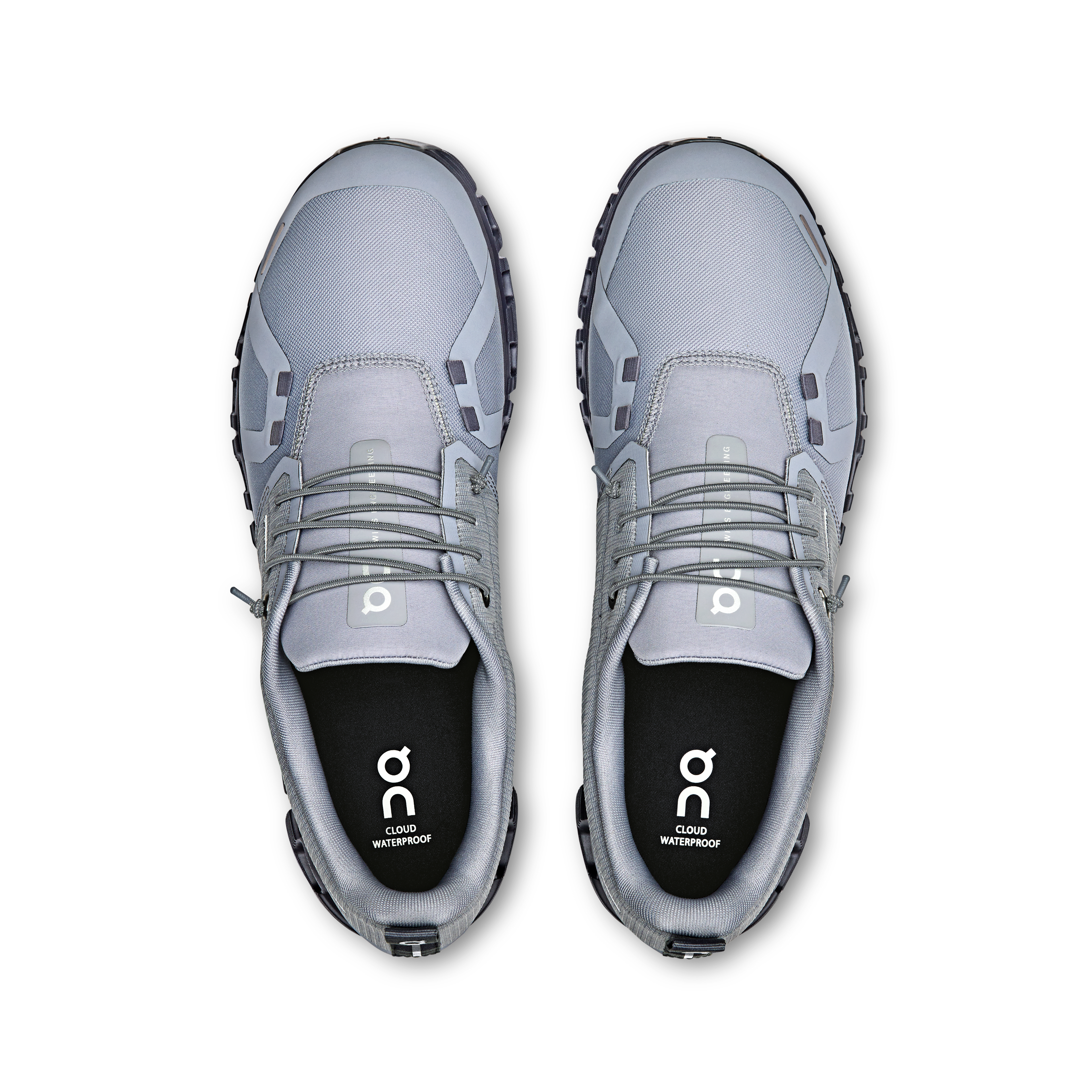 Cloud 6 WP M Alloy | Wolf